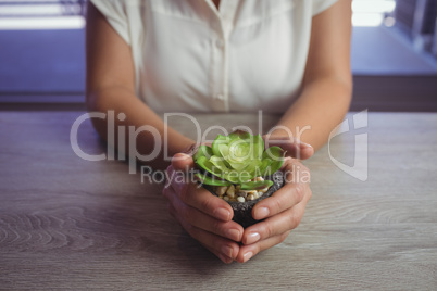 Mid section of woman holding plant