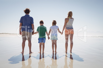 Rear view of family holding hands while standing on shore