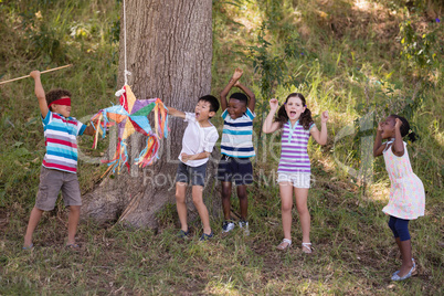 Group of friends cheering for blindfolded boy hitting pinata hanging on tree