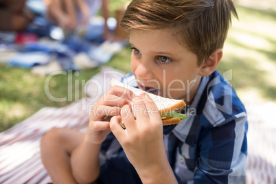 Boy having sandwich in picnic at park