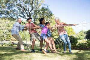 Family playing tug of war in the park