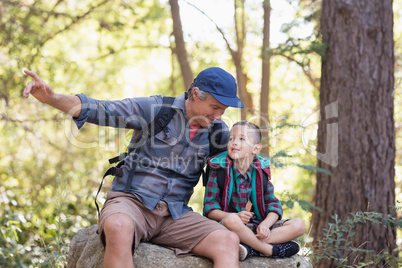 Father and son sitting on rock while pointing away