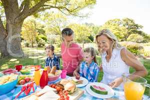 Happy family having meal in park