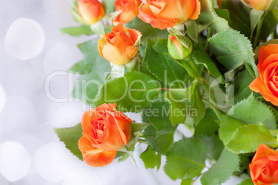 Bouquet of fresh, red Roses on a white background.