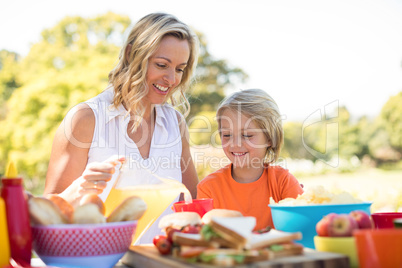 Happy mother and son having meal in park