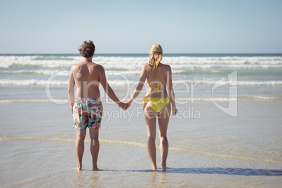 Rear view of couple holding hands while standing at beach