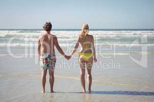 Rear view of couple holding hands while standing at beach