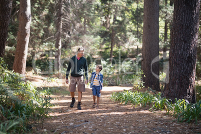 Father and son walking amidst trees in forest