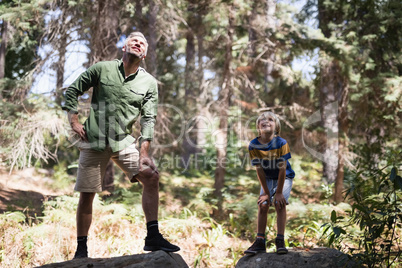Curious father and son looking up while standing on rocks in forest