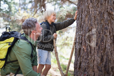 Father and son observing tree trunk in forest