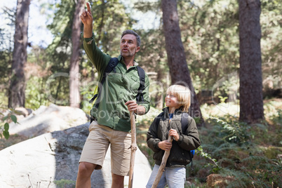 Father pointing away with son in forest