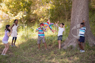 Friends cheering for blindfolded boy hitting pinata hanging on tree
