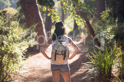 Rear view of hiker standing on trail