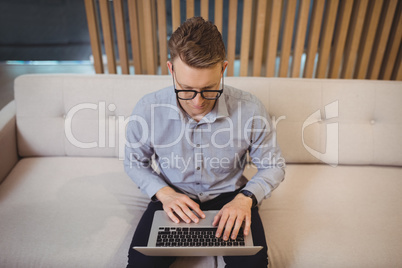Attentive executive sitting on sofa and using laptop