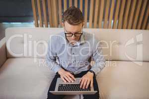 Attentive executive sitting on sofa and using laptop