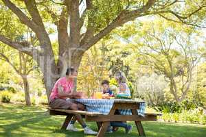 Happy family interacting with each other while having meal in park