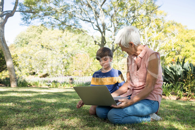 Grandmother and grandson using laptop in the park