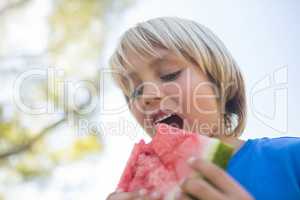Boy having watermelon in the park