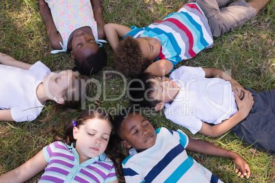 Friends sleeping on grassy field in forest