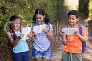 Friend using digital tablets at natural parkland