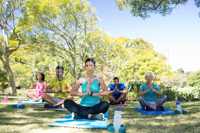 Group of people performing yoga in the park