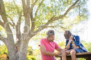 Father consoling his son at picnic in park