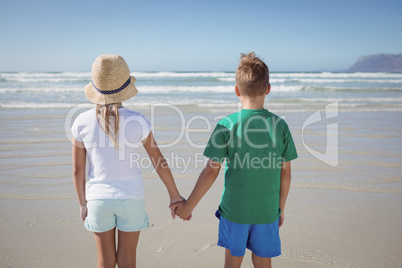 Rear view of siblings holding hands on shore at beach