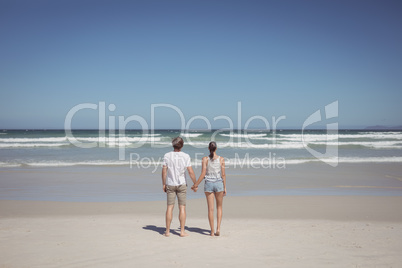 Rear view of couple holding hands at beach