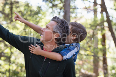 Father and son pointing away in forest