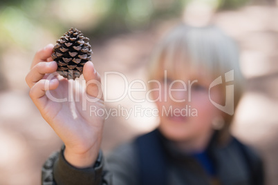 Boy holding pine cone in forest