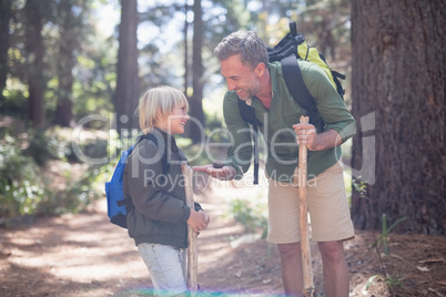 Father showing pine cone to son while hiking in forest