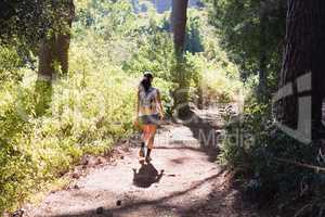 Rear view of woman hiking on trail in forest