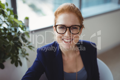 Portrait of smiling executive