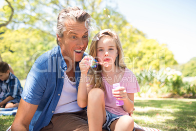 Father and daughter blowing bubble with bubble wand at picnic in park