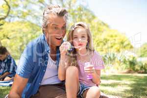 Father and daughter blowing bubble with bubble wand at picnic in park