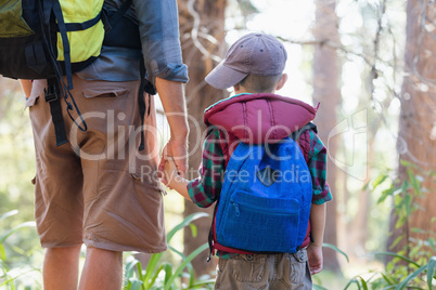 Rear view of boy holding hands with father in forest