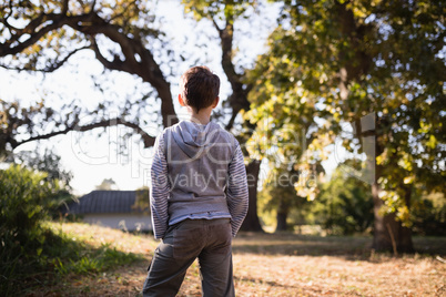 Rear view of little boy standing in forest