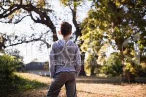 Rear view of little boy standing in forest