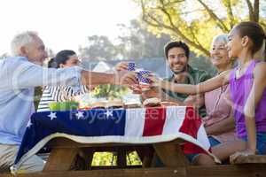 Happy family toasting the cups while having meal in the park