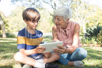 Grandmother and grandson using digital tablet in the park