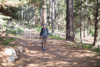 Happy hiker walking trail amidst trees
