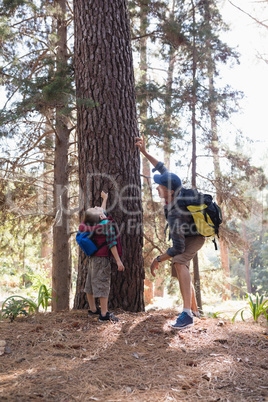Man pointing up by boy standing in forest
