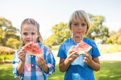 Siblings having watermelon in the park