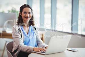 Portrait smiling executive using laptop at desk