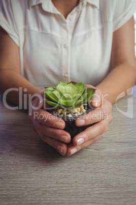 Mid section of woman holding small potted plant