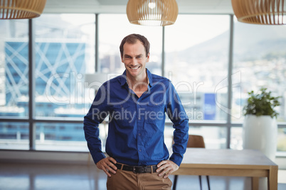 Portrait of smiling executive standing with hands on hip
