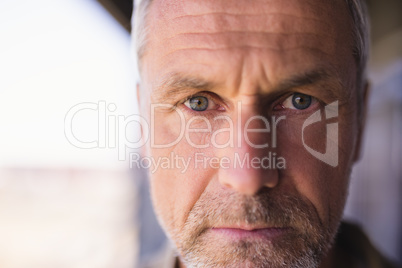 Close up portrait of confident mature businessman