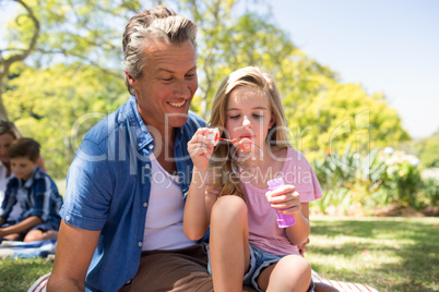 Father and daughter blowing bubble with bubble wand at picnic in park