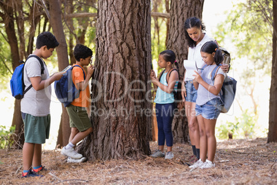 Students examining tree trunk with teacher in forest