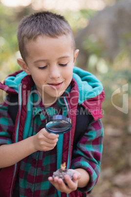 Boy exploring stone while hiking in forest